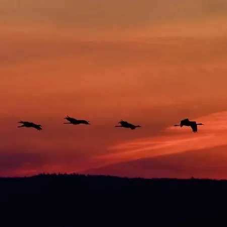 Hotel Schloss Golf & Krugsdorf