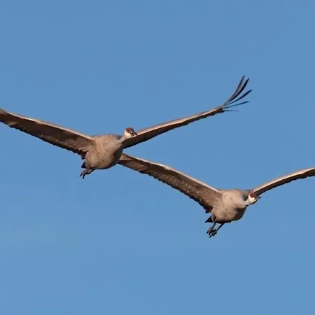 Schloss Golf & Hotel Krugsdorf