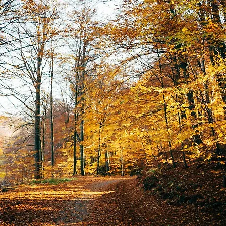 Schloss Golf & Hotel Krugsdorf
