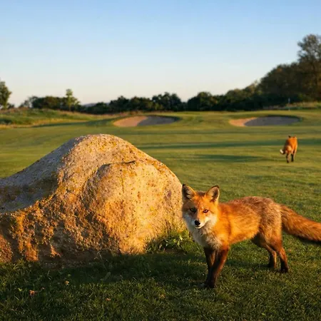 Hotel Schloss Golf &