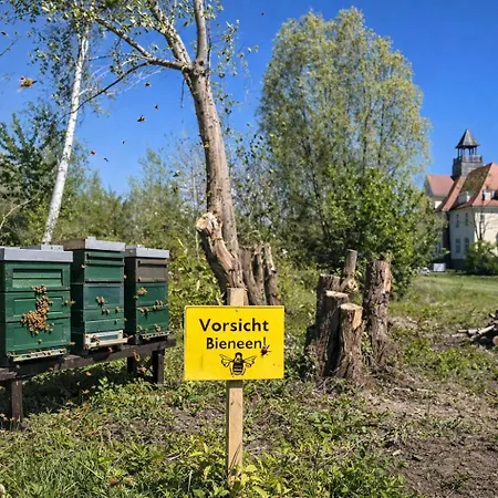 Schloss Golf & 호텔 Krugsdorf